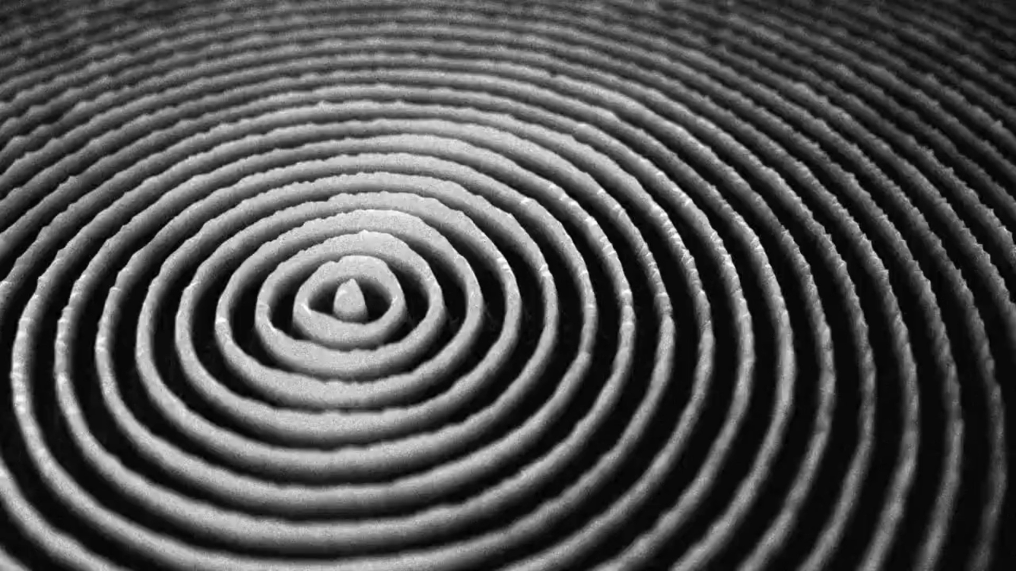 Invisible Fields (2011-2012) - Arts Santa Monica
