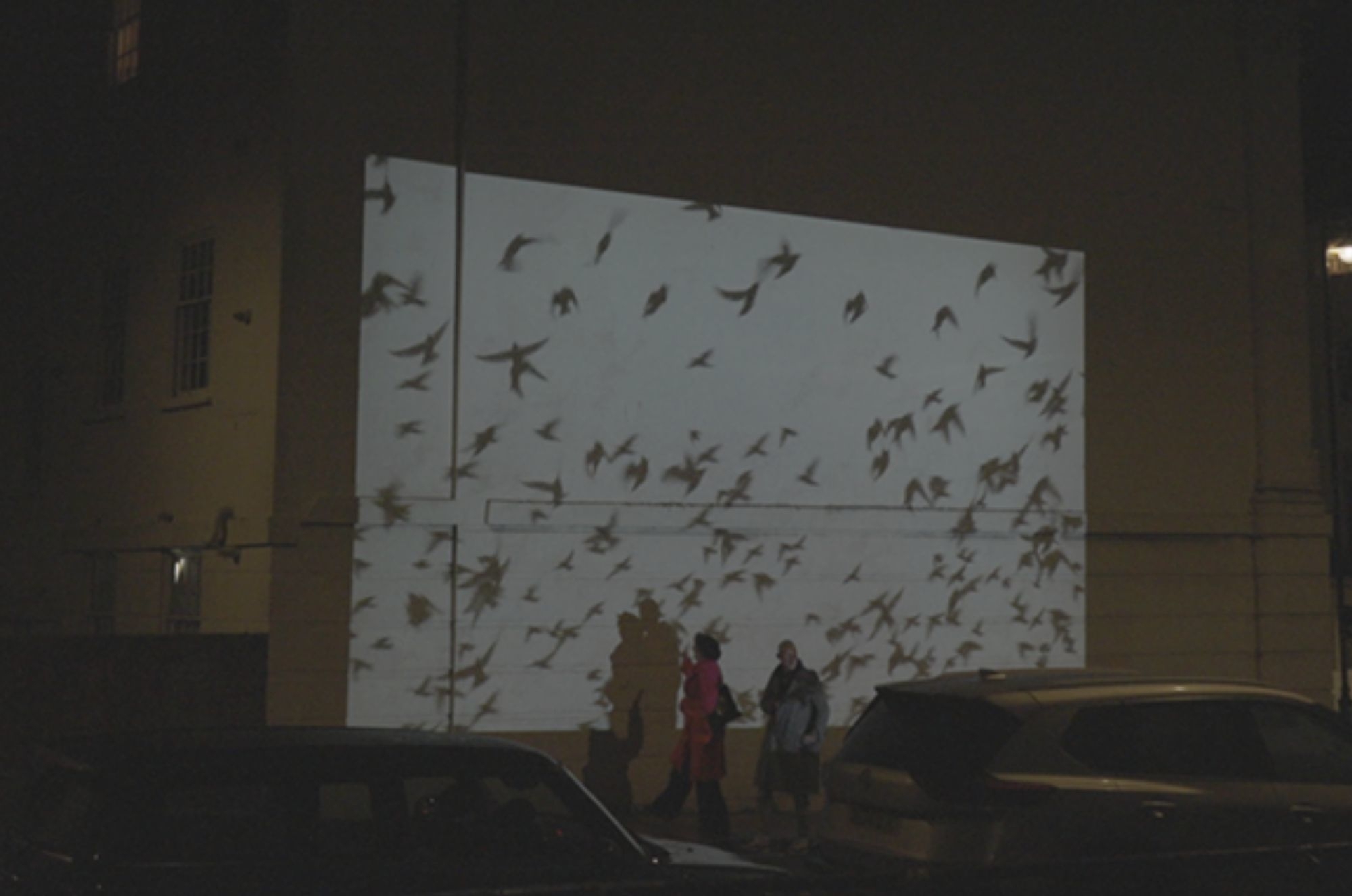 Esther McElwee: Audio-Visual Installation Residency (2025)