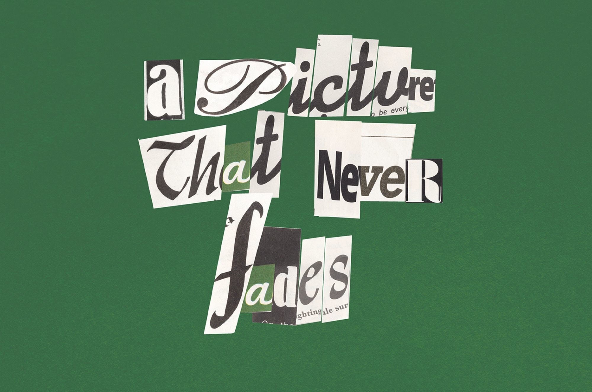 A Picture That Never Fades: Public Access Days