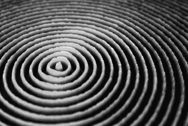 Invisible Fields (2011-2012) - Arts Santa Monica